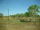 IMG_0409 Coal train.  Drivers earn Aus$250,000 year.JPG