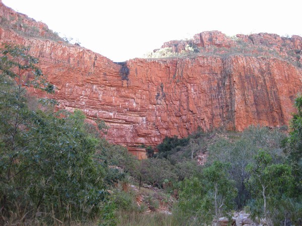 n_img_0835__cliff_in_emma_gorge.jpg