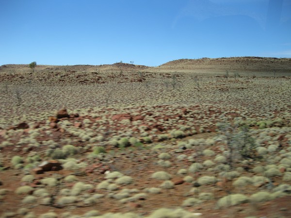 n_img_1462__spinifex_.jpg