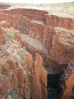 IMG_1494  Junction Pool in Karijini National Park.JPG