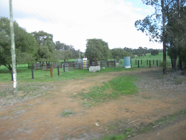 n_img_3660__cattle_loading_corral.jpg