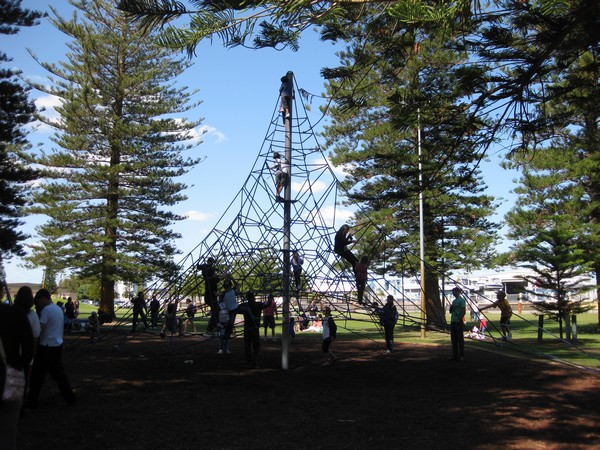 n_img_4327__climbing_web_in_the_waterfront_park.jpg