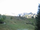 IMG_3130 Rocky Alps and avalanche fences.JPG