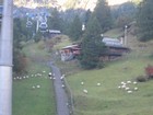 IMG_3414 Cable cars and sheep below.JPG