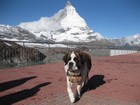 IMG_3434 Nana and the Matterhorn.JPG