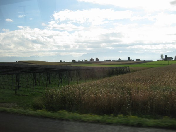 n_img_3900_distant_alps_beyond_the_fields_.jpg