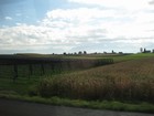 IMG_3900 Distant Alps beyond the fields .JPG