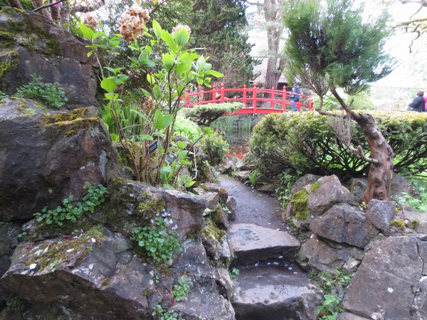 n_img_2822__every_japanese_garden_needs_a_bridge.jpg