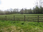 IMG_2805  The stallions have private pastures.JPG