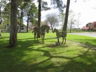 IMG_2831  Driftwood horse statues.JPG