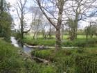 IMG_2983  Blarney River.JPG