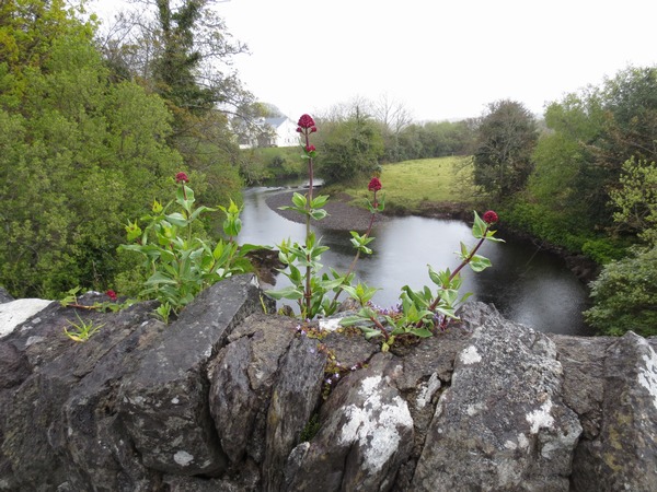 n_img_3175__sneem_waterfall.jpg