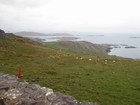 IMG_3163  Ballinskelligs Bay near Waterville.JPG