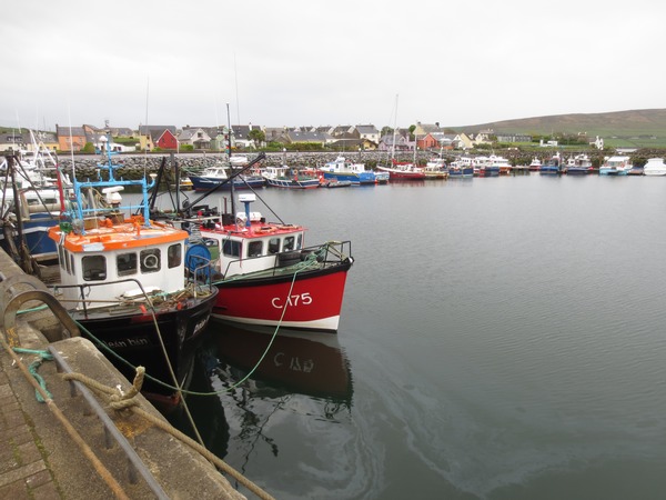 n_img_3247__dingle_is_a_busy_port.jpg