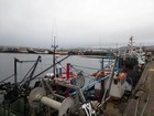 IMG_3248  Dingle harbour.JPG