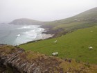 IMG_3278  Slea Head on the Dingle Peninsula.JPG