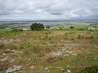 IMG_3541  Galway Bay near Kinvara.JPG