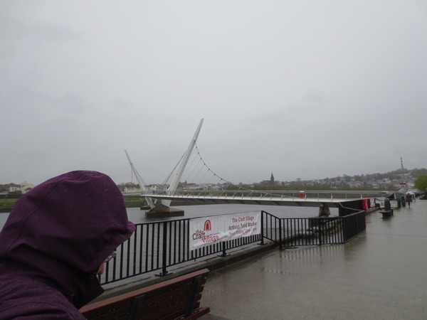 n_img_3799__the_peace_bridge___derry.jpg