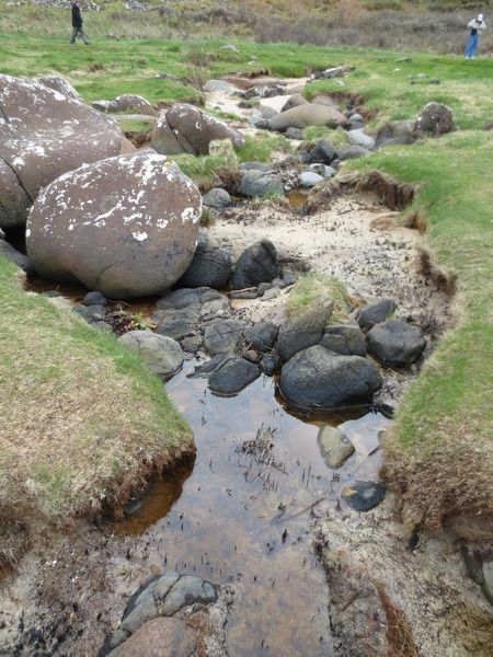 n_img_3965__a_marshy_area_beside_the_causeway.jpg