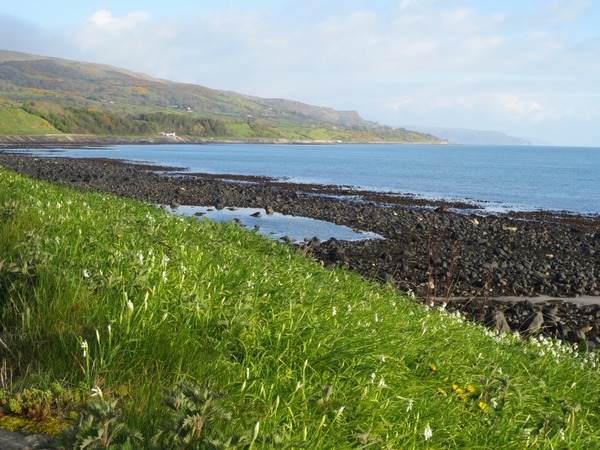 n_img_4108__coastline___ballygally.jpg