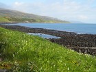 IMG_4108  Coastline.  Ballygally.JPG