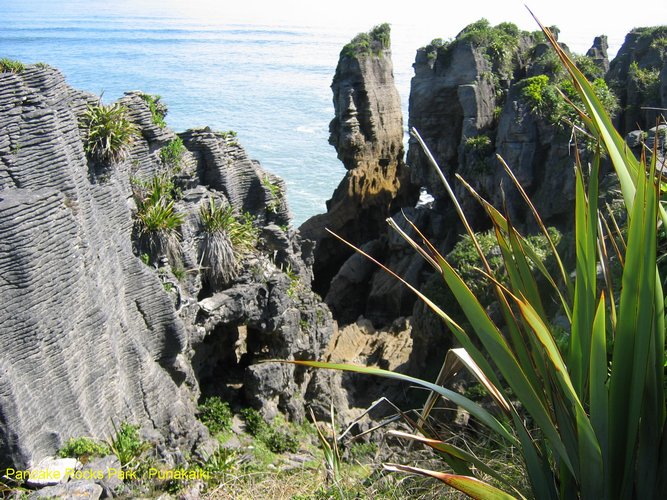 2007_03_27__2045_pancake_rocks_park___punakaiki_.jpg