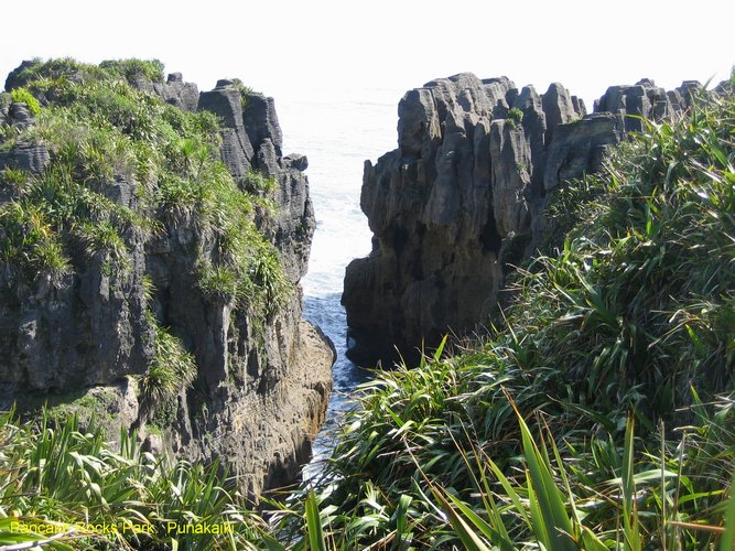 2007_03_27__2046_pancake_rocks_park___punakaiki_.jpg