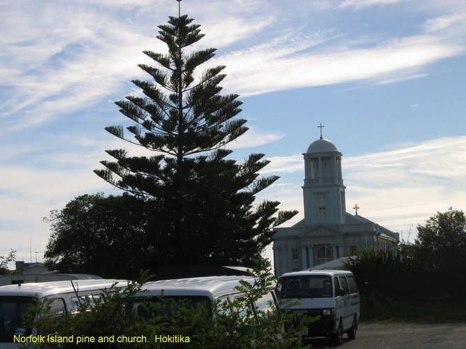 2007_03_27__2070_norfolk_is__pine__hokitika.jpg