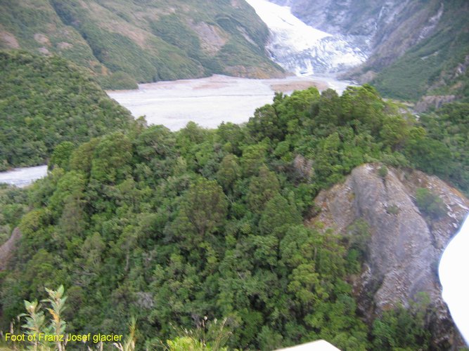 2007_03_27__2083_foot_of_franz_josef_glacier.jpg