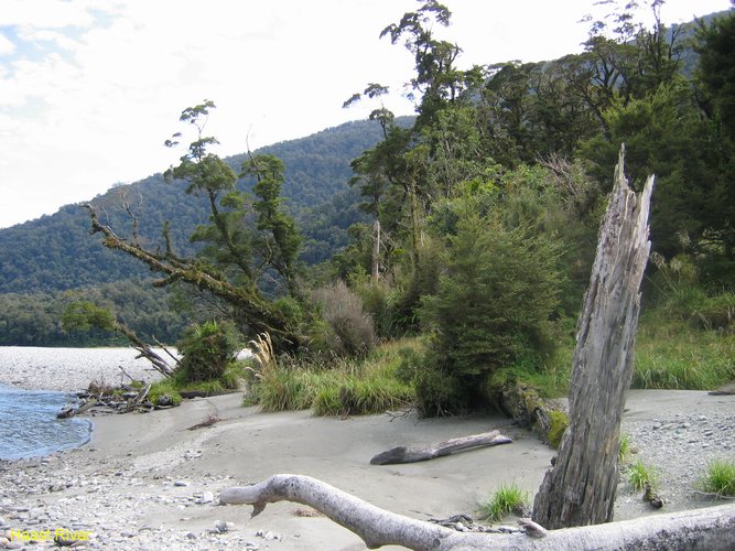 2007_03_28__2118_haast_r__scenery.jpg