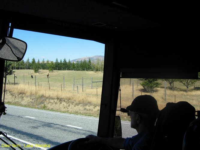 2007_03_28__2143_deer_farm___lake_wanaka.jpg