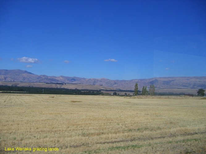 2007_03_28__2145_lake_wanaka_grazing_lands.jpg