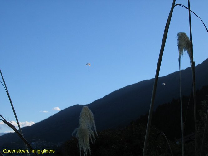 2007_03_28__2153_queenstown__hang_gliders.jpg