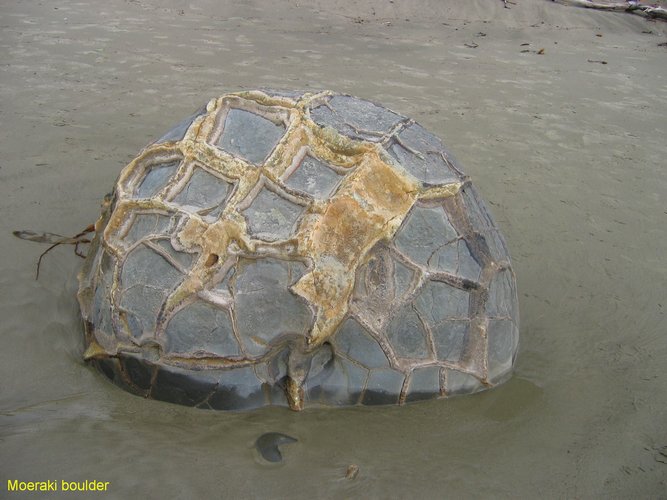 2007_04_01__2313__moeraki_boulder.jpg