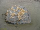 2007_04_01__2313__moeraki_boulder.jpg