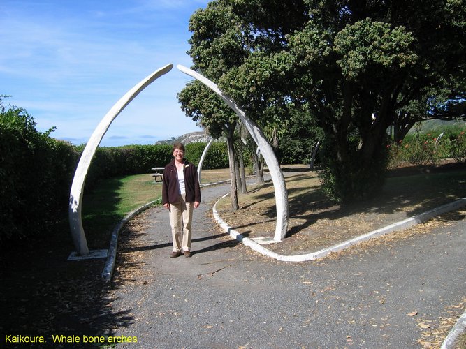 2007_04_03__2349_kaikoura__whale_bone_arches__tracy.jpg