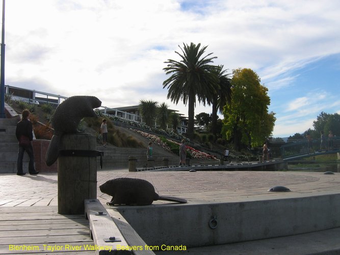 2007_04_03__2354_blenheim__taylor_river_walkway.jpg