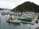 2007_04_04__2374__picton_marina.jpg