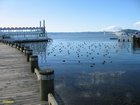 2007_04_06__2411__rotorua.jpg