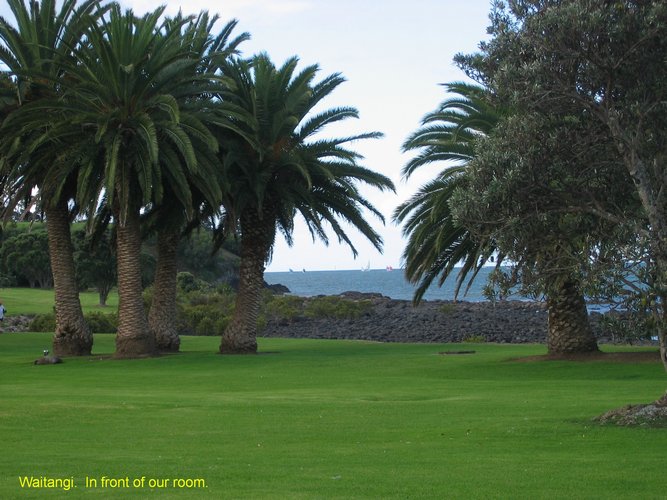 2007_04_08__2470__waitangi___from_our_room.jpg