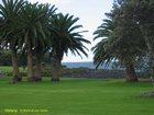 2007_04_08__2470__waitangi___from_our_room.jpg