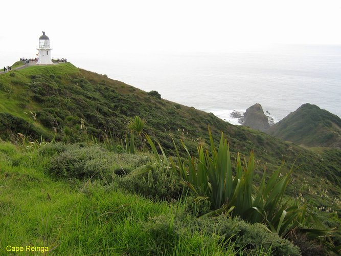 2007_04_09__2492__cape_reinga.jpg