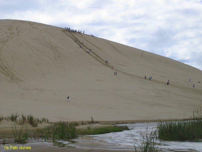 2007_04_09__2505__te_paki_dunes.jpg