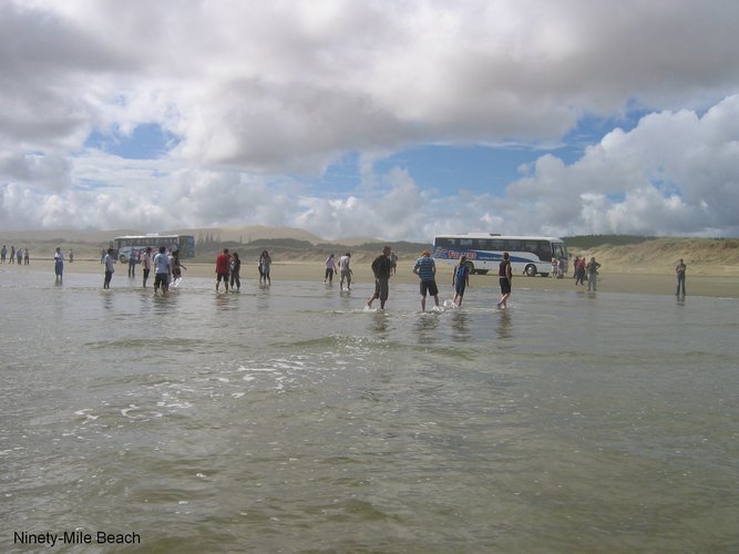 2007_04_09__2527__ninety_mile_beach.jpg