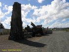 2007_04_09__2488__awanui___ancient_kauri_stumps.jpg