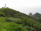 2007_04_09__2492__cape_reinga.jpg