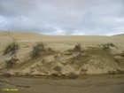 2007_04_09__2503__te_paki_dunes.jpg