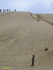 2007_04_09__2508__te_paki_dunes.jpg